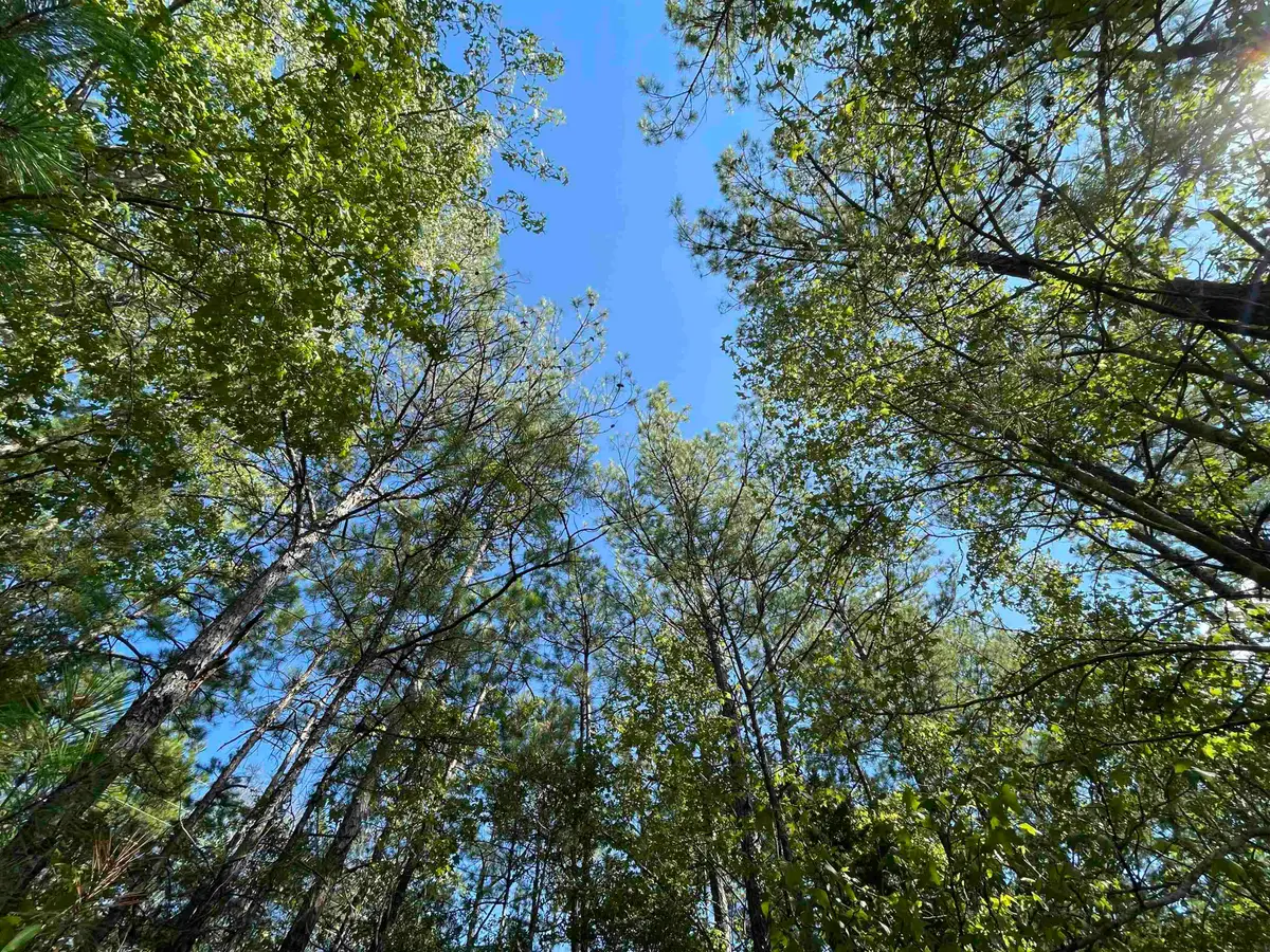 4630 Hwy 96 N, Jasper, TX 75951 - #1