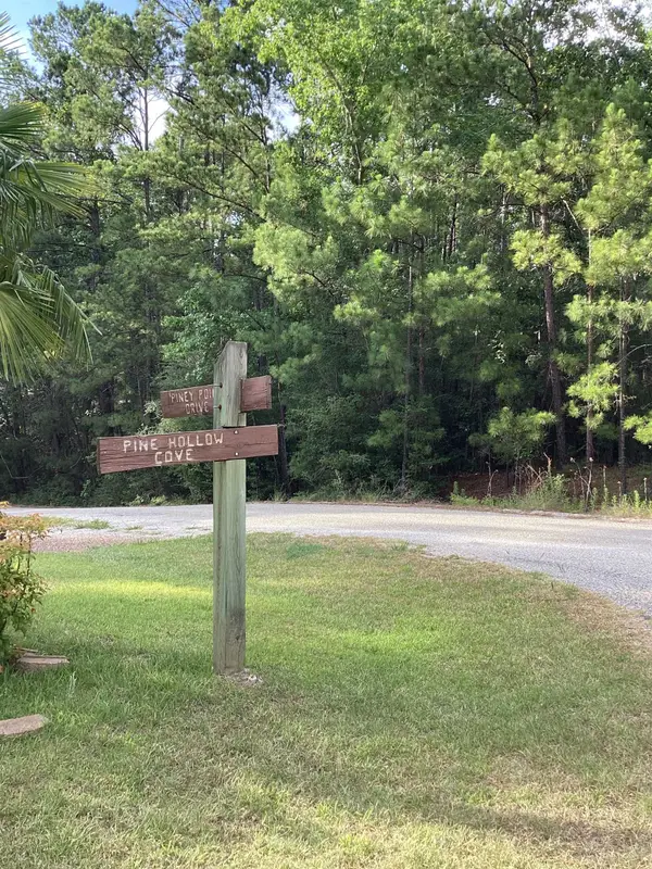 32 Pine Hollow Cove, Brookeland, TX 75931