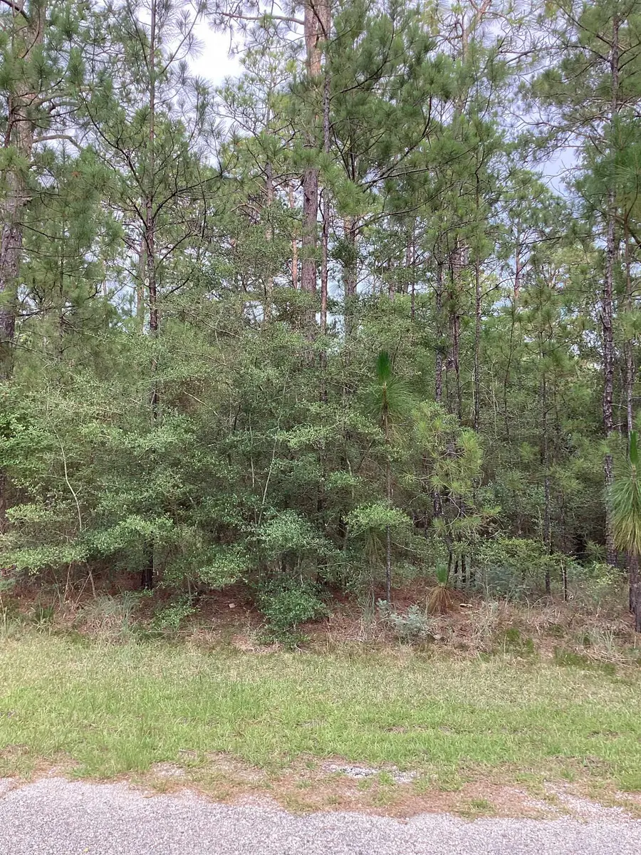 32 Pine Hollow Cove, Brookeland, TX 75931 - #3