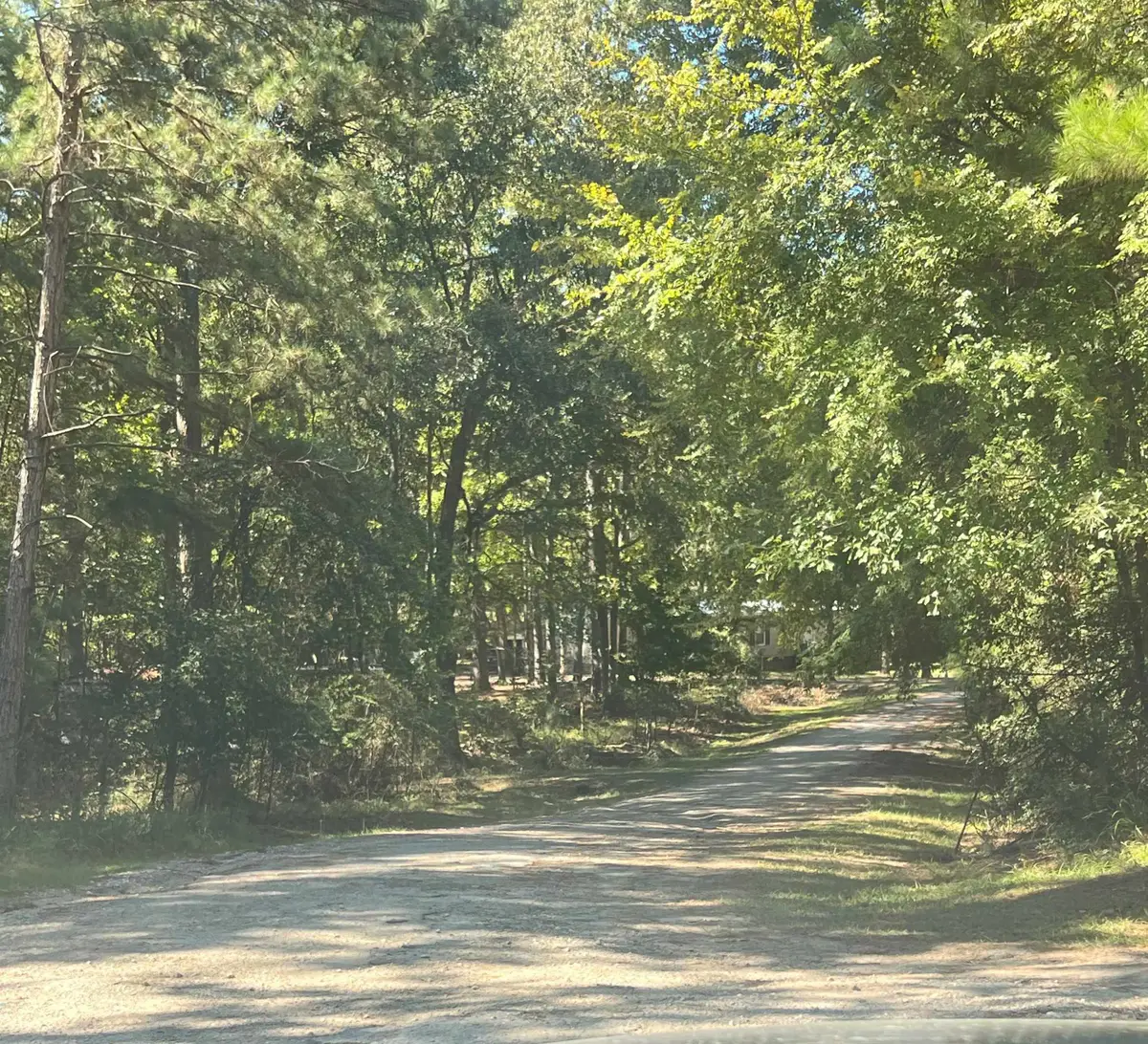 TBD Neuces Drive, Trinity, TX 75862 - #1