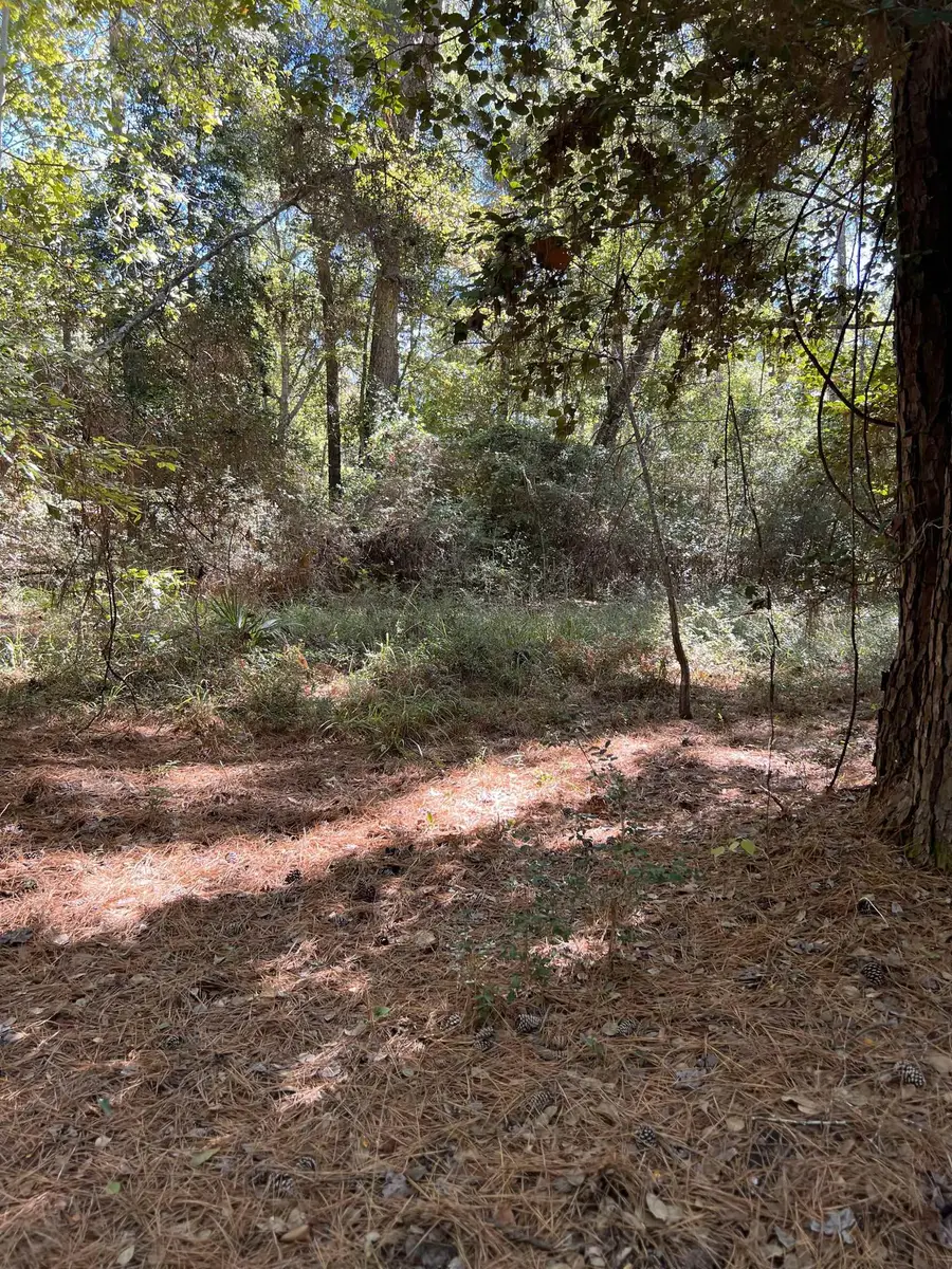 TBD Neuces Drive, Trinity, TX 75862 - #3