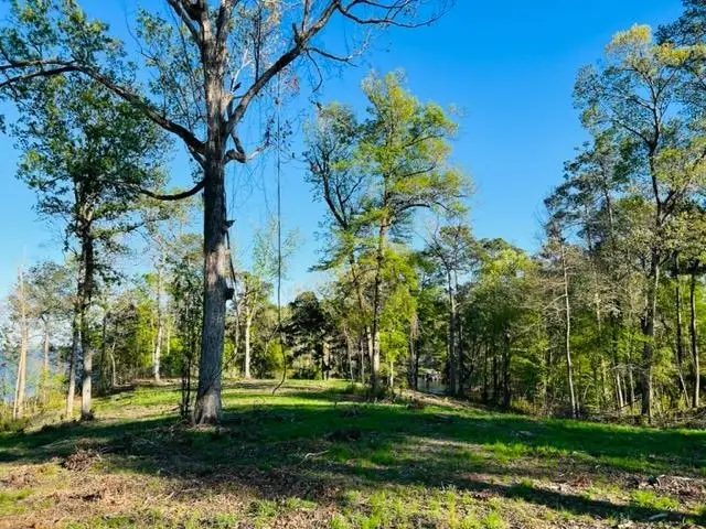 280 Time Drive, Milam, TX 75959 - #3