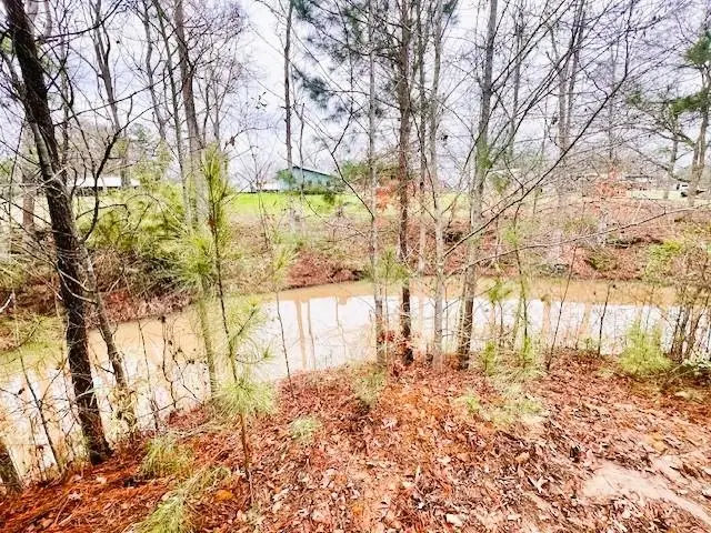 451 Old Tejas Trail East, Hemphill, TX 75948 - #2