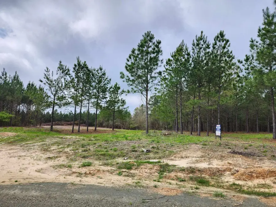 980 County Road 1060, Center, TX 75935 - #2