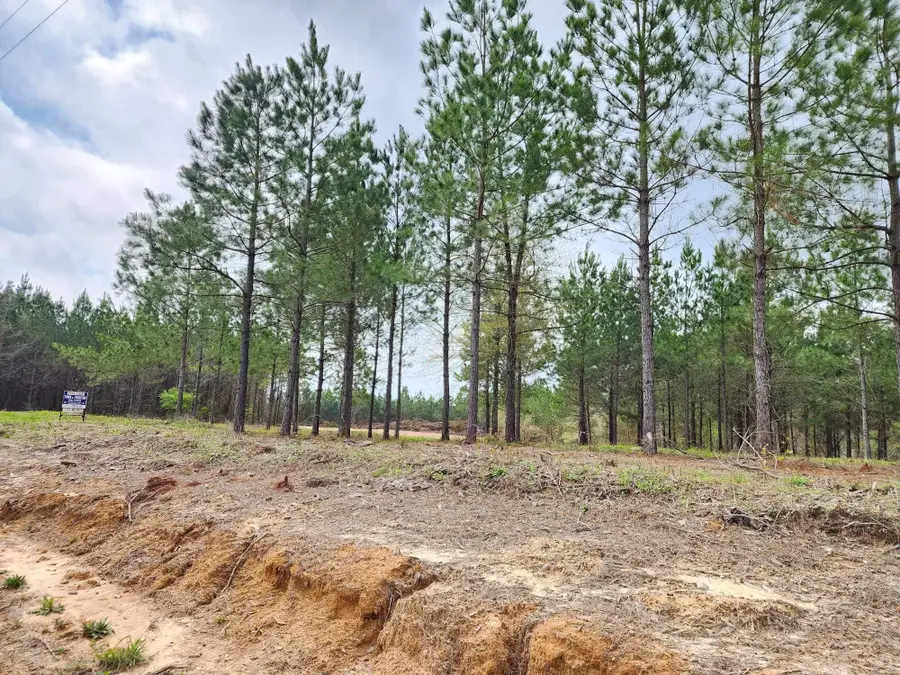 980 County Road 1060, Center, TX 75935 - #3