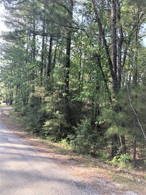 224 Piney Point Drive, Brookeland, TX 75931