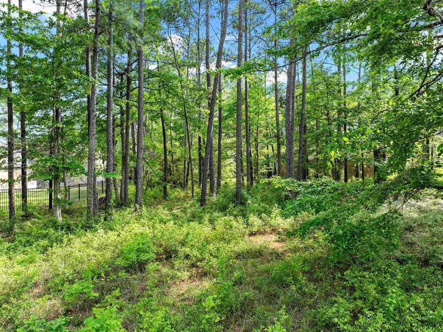 33386 Beachrock Drive, Brookeland, TX 75931 - #3