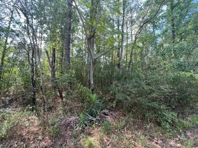 97825 TR PT 117 Hursey Street, Jasper, TX 75951 - #3