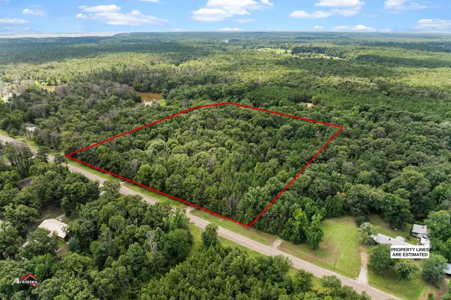 12761 Se Fm 2694, Shelbyville, TX 75973 - #2