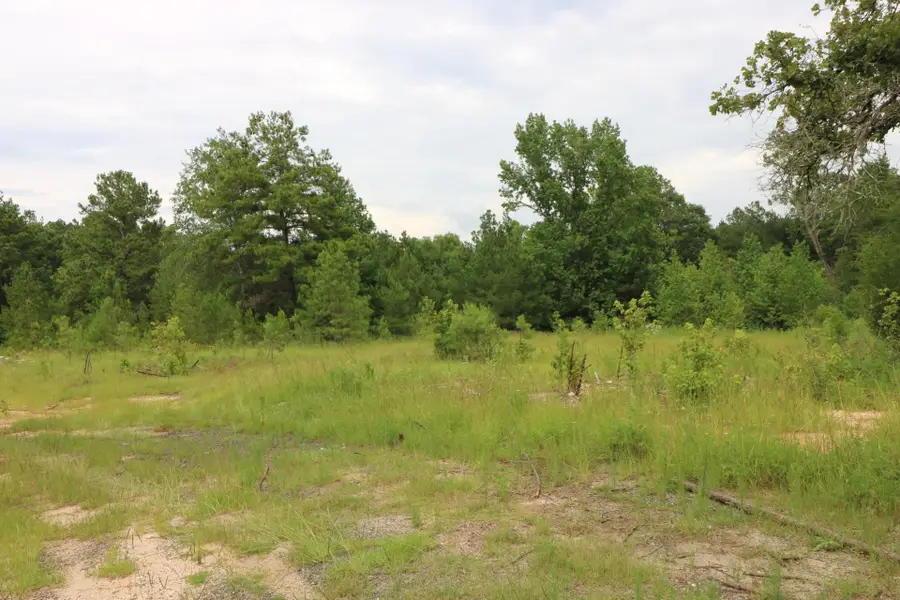 AB985 TR85 Co Rd 1028, Newton, TX 75966 - #2