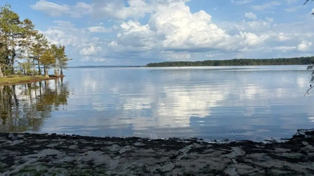 51 Aurelia Russell, Hemphill, TX 75948 - #1