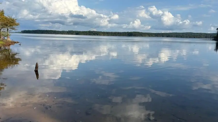 51 Aurelia Russell, Hemphill, TX 75948 - #2