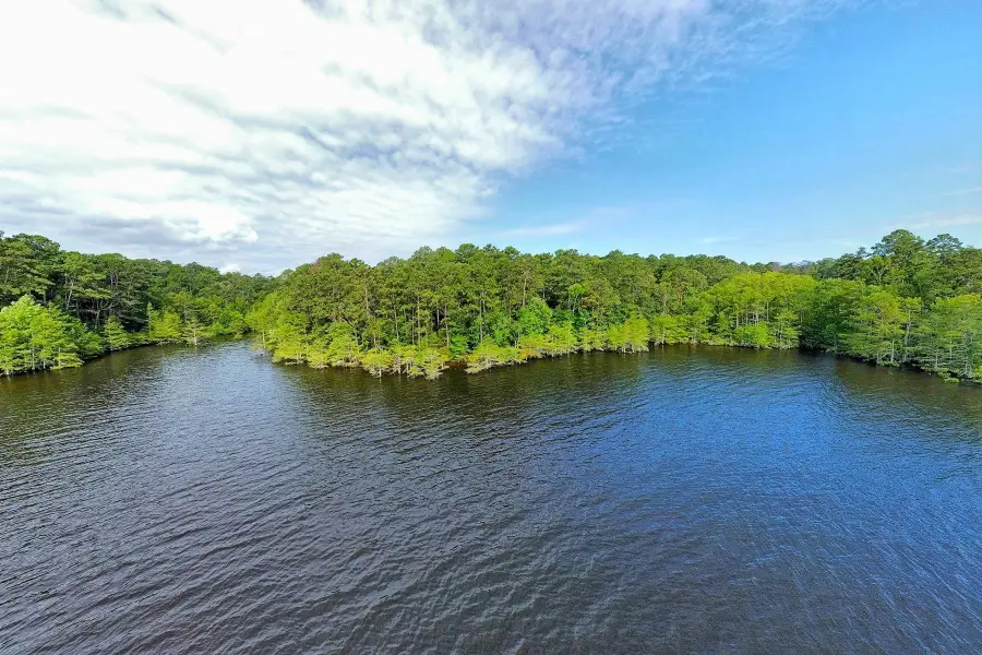 51 Aurelia Russell, Hemphill, TX 75948 - #3