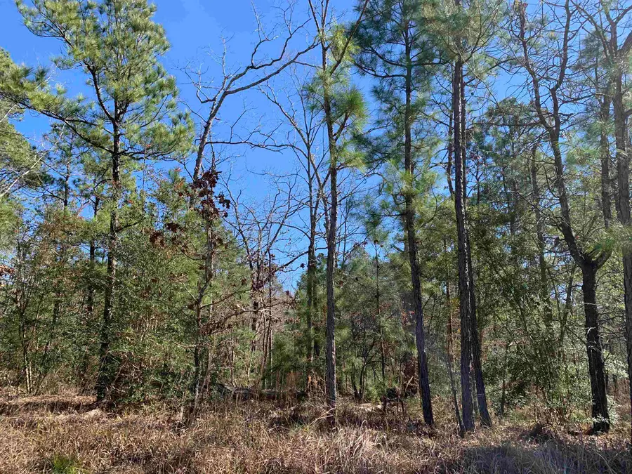 35661-35662 Wallis Point, Brookeland, TX 75931 - #3