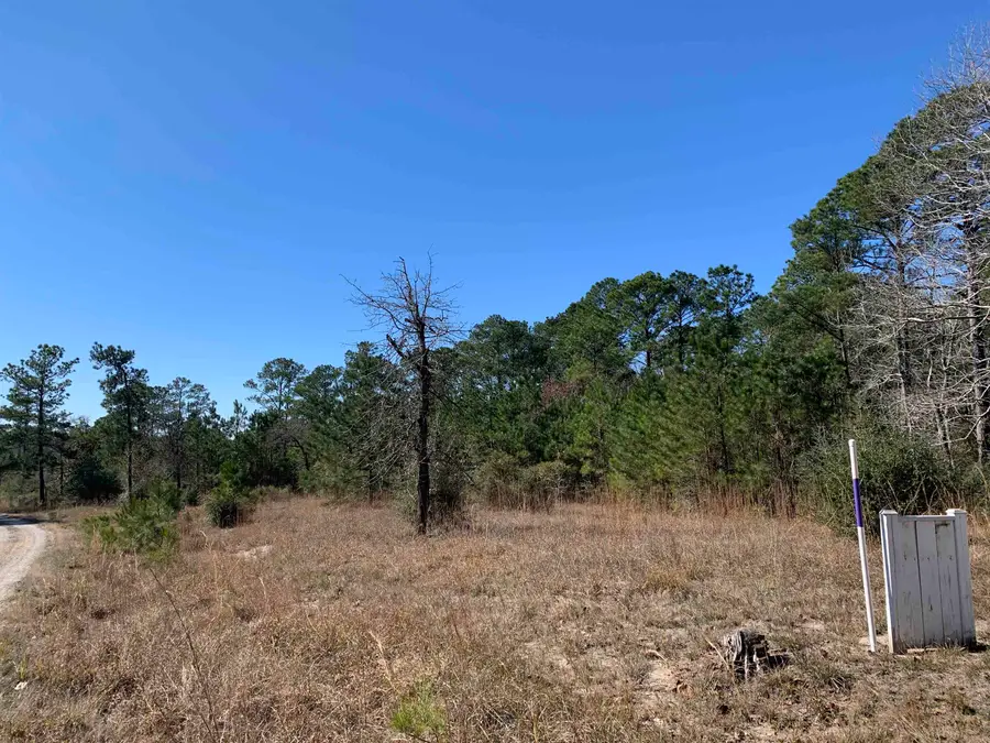 35631-35635 Wallis Point, Brookeland, TX 75931 - #2