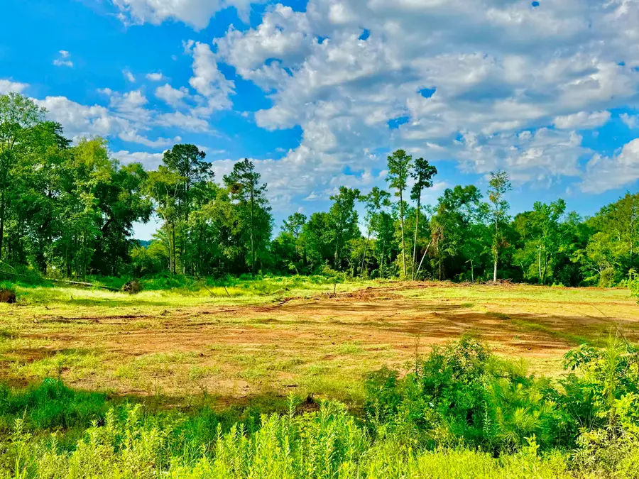 453 Old Tejas Trail West, Hemphill, TX 75948 - #2