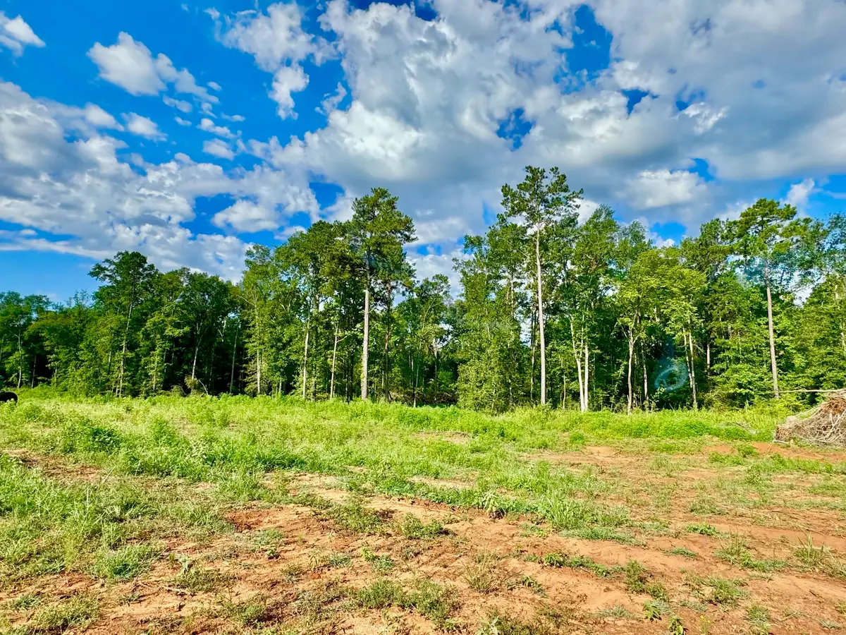 425 Old Tejas Trail West, Hemphill, TX 75948 - #1