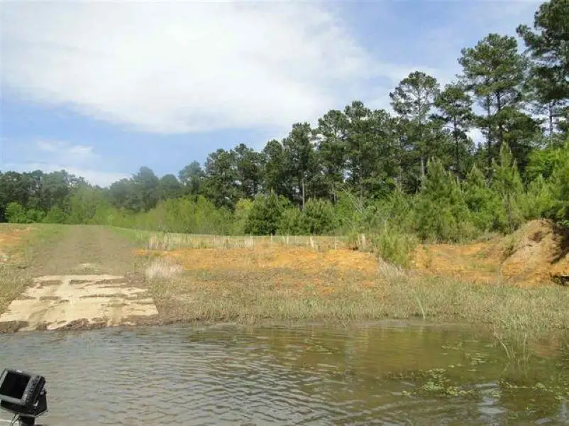 437 Old Tejas Trail West, Hemphill, TX 75948 - #1