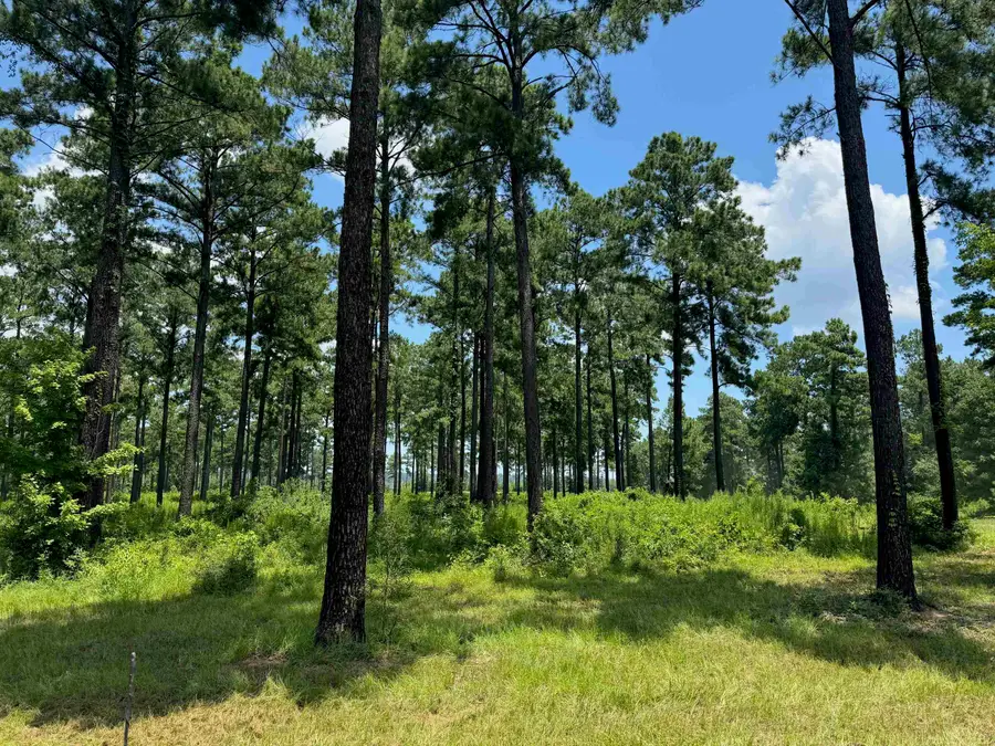 312 Spanish Trail, Hemphill, TX 75948 - #3
