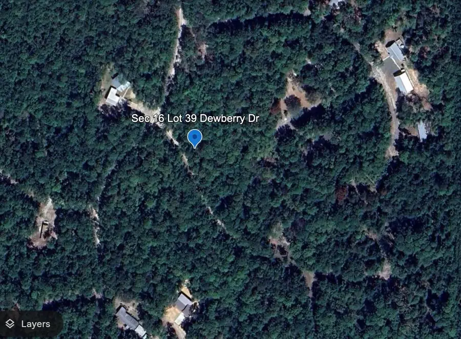 125 Dewberry Drive, Sam Rayburn, TX 75951 - #2