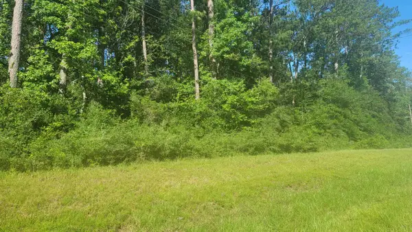 4012 E Highway 190, Newton, TX 75966