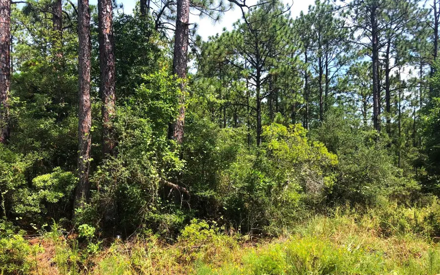 275 Tamarack Drive, Brookeland, TX 75931 - #2