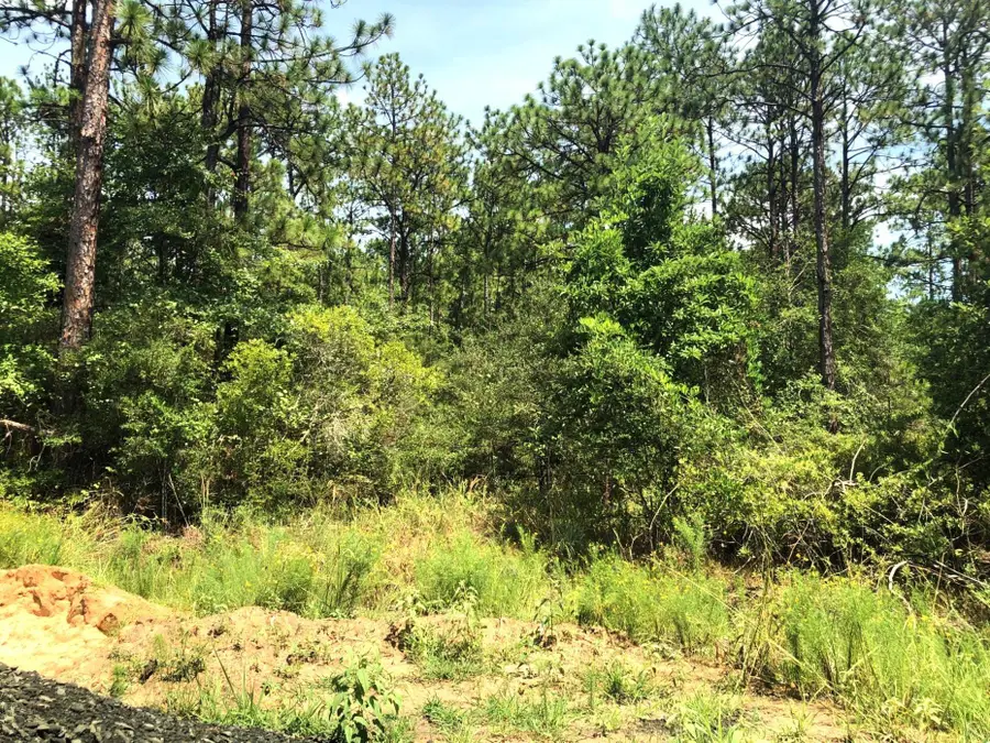 275 Tamarack Drive, Brookeland, TX 75931 - #3