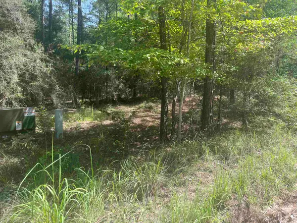 34301 Senita Drive, Brookeland, TX 75931