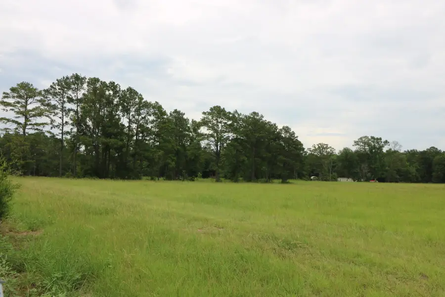 AB985 TR36-1 Co Rd 1028, Newton, TX 75966 - #2