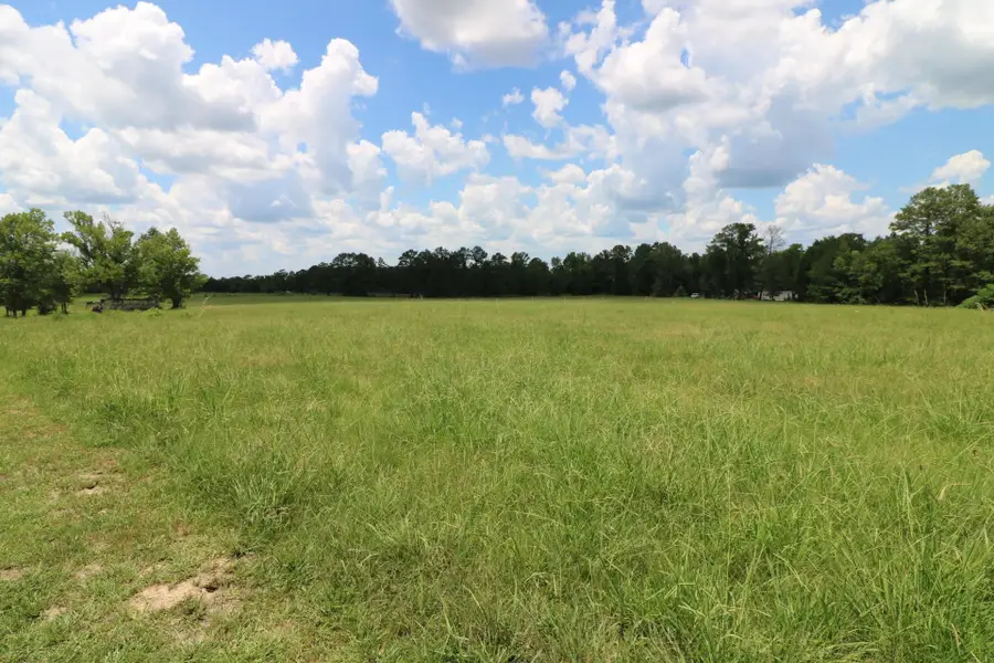 AB985 TR36-1 Co Rd 1028, Newton, TX 75966 - #3