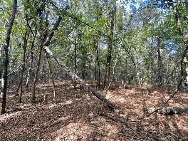 2260 Boyd Road, Bronson, TX 75930 - #2