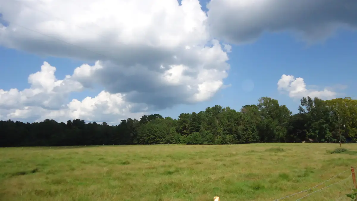 3334 Housen Hollow, Bronson, TX 75930 - #1