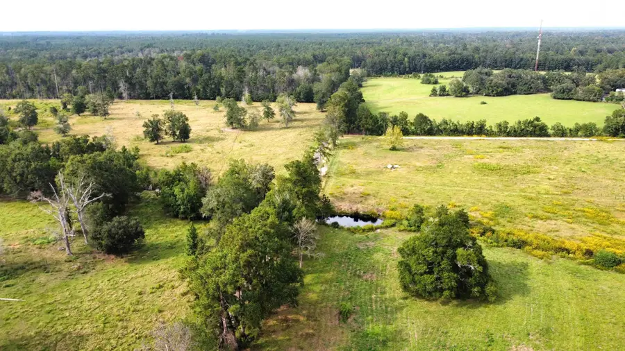 A1264 Cr 3063, Kirbyville, TX 75956 - #2