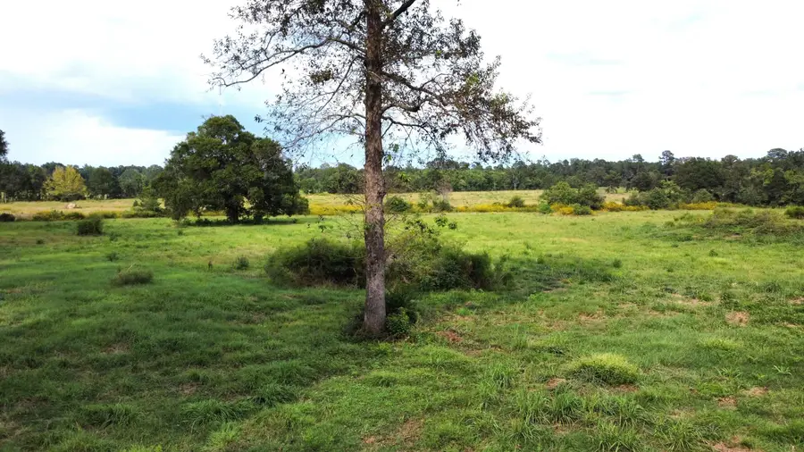 A1264 Cr 3063, Kirbyville, TX 75956 - #3