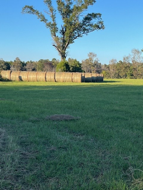 6055 Co Rd 2001, Newton, TX 75966 - #2