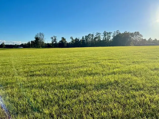 6055 Co Rd 2001, Newton, TX 75966 - #3