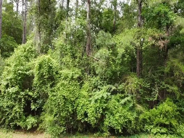 5735 Fm 2798, Livingston, TX 77351 - #2