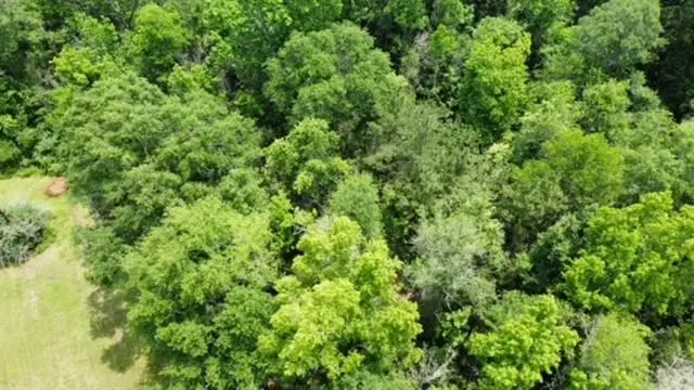 Address Withheld By Seller, Kirbyville, TX 75956 - #2