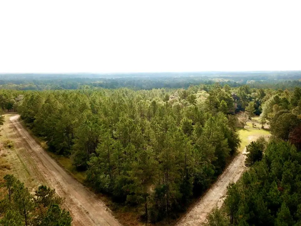 6.8 ACRES Cr 2310, Woodville, TX 75979 - #1
