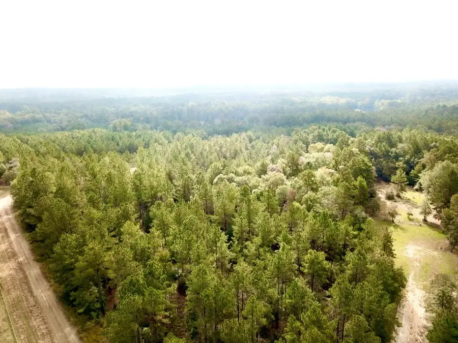 6.8 ACRES Cr 2310, Woodville, TX 75979 - #2