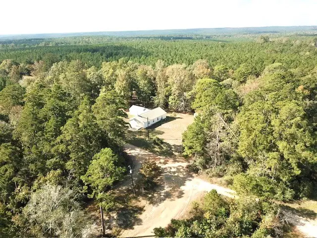 4.6 ACRES Cr 2310, Woodville, TX 75979 - #3