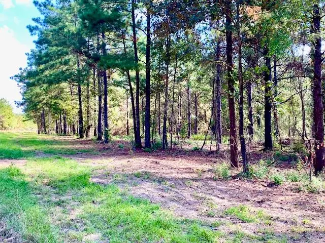 16 ACRES Cr 2310, Woodville, TX 75979 - #1