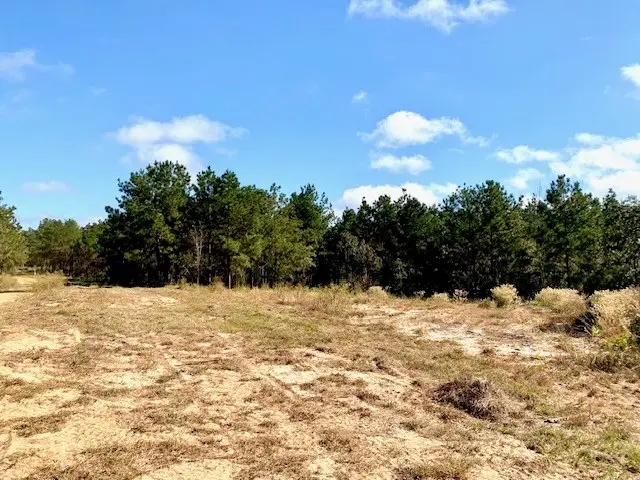 16 ACRES Cr 2310, Woodville, TX 75979 - #3