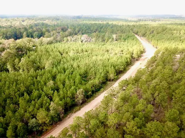 10.2 ACRES Cr 2310, Woodville, TX 75979 - #2