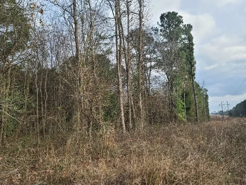 4500 Blk Fm 225 North, Douglass, TX 75943 - #3