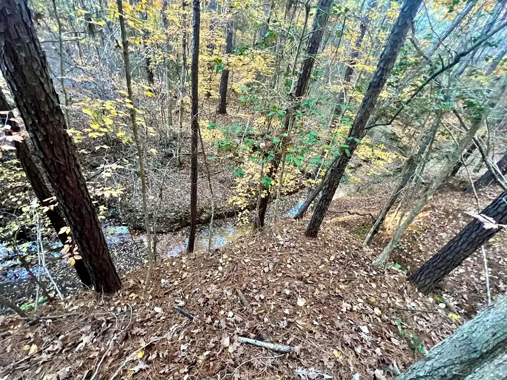 839 Mason Lane, Milam, TX 75959 - #1