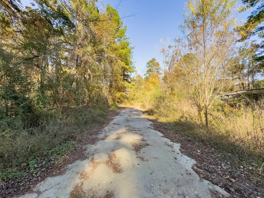 R92468 Kansas Street, Huntington, TX 75949 - #3