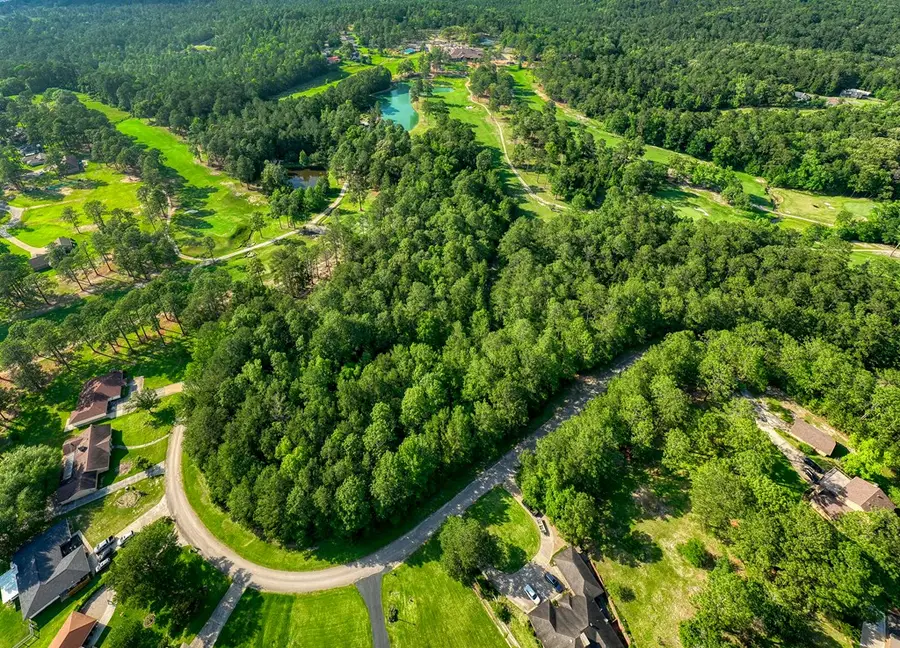 295 Masters Blvd, Sam Rayburn, TX 75951 - #3