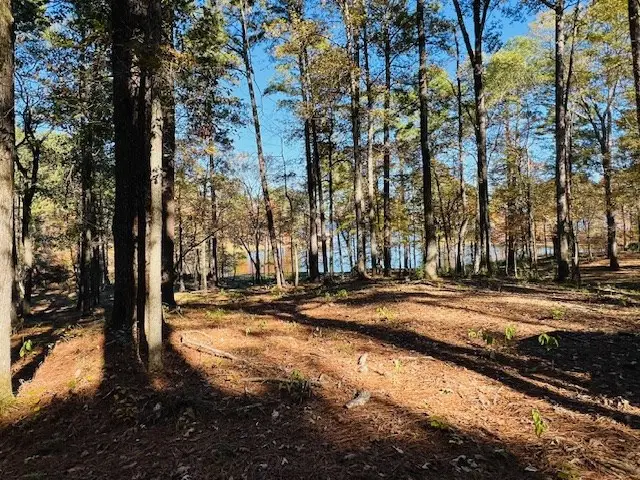 188 Whispering Pines Rd, Milam, TX 75959 - #2