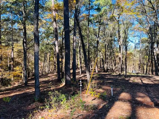 188 Whispering Pines Rd, Milam, TX 75959 - #3